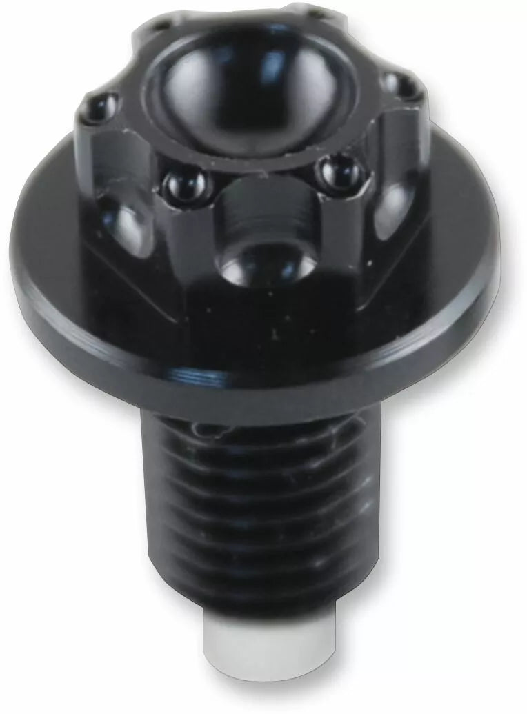 Honda CBR 900 RR [PSR] - magnetic oil drain screw