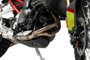 BMW F 900 GS [2025] – Engine Guard – Silver-18