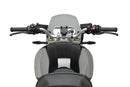 BMW R 12 NINET [2025] – New Generation Sport – Tinted-5