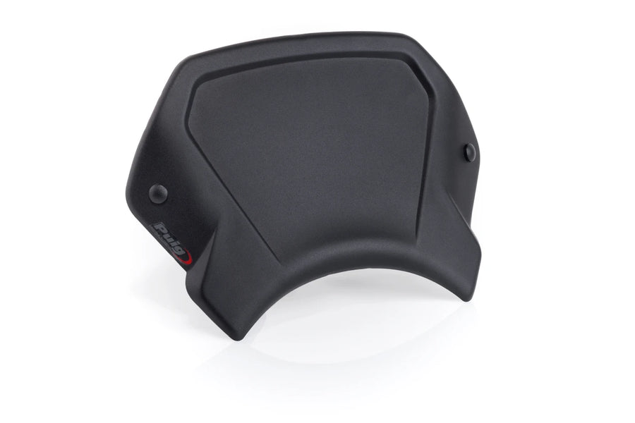 TRIUMPH SCRAMBLER 1200X [2025] – ALU faceplate – silver