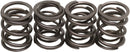 harley davidson flfb [KIBBLEWHITE] – valve spring kit-1