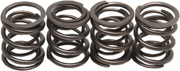 harley davidson flfb [KIBBLEWHITE] – valve spring kit