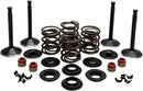 Harley Davidson Flfb [KIBBLEWHITE] – Motorventil-Kit