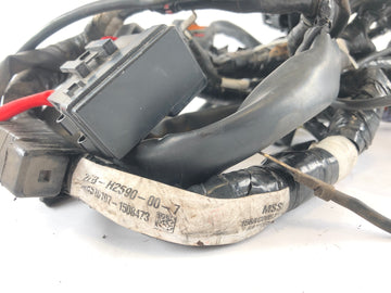 Yamaha WR 125 R DE07 [2016] - Wiring harness - 0