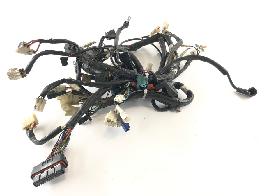 Yamaha XT 660 DM01 [2005] - wiring harness