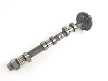Triumph Thunderbird 900 T309RT [1995] - Camshaft Intake Camshaft - 0