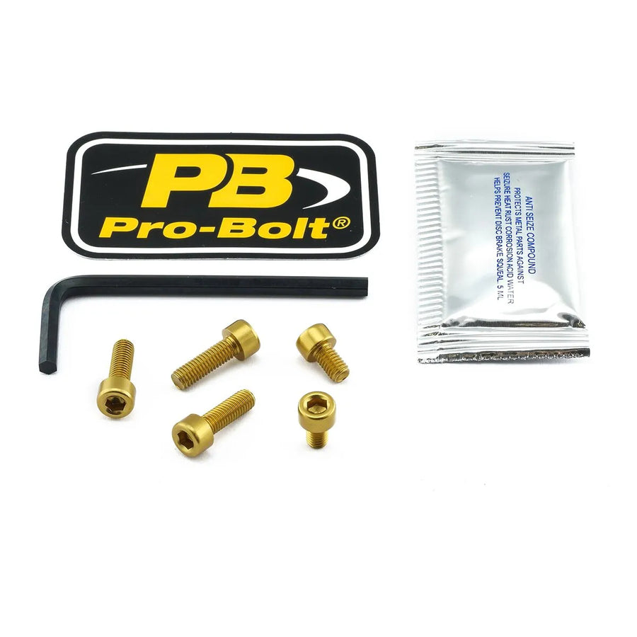 Kawasaki Ninja 650 [Pro Bolt]-Aluminum fuel cap kit