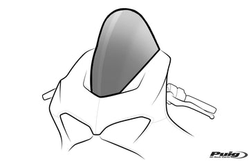 HONDA CBR 1000 RR R FIREBLADE SP [2004-2023] - Windshield