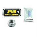 Triumph Speed ​​Triple 1050 [Pro Bolt] - axis nut for swinge, titanium-1