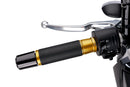 APRILIA RS 125 REPLICA [2025] - Ascent Griffe | Gold | PUIG 3553O