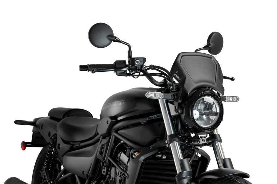 KAWASAKI ELIMINATOR 500 SE [2025] – ALU faceplate – silver