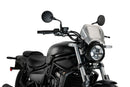 KAWASAKI ELIMINATOR 500 SE [2025] – ALU faceplate – silver-2