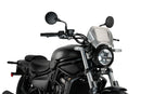 KAWASAKI ELIMINATOR 500 SE [2025] – ALU faceplate – silver-1