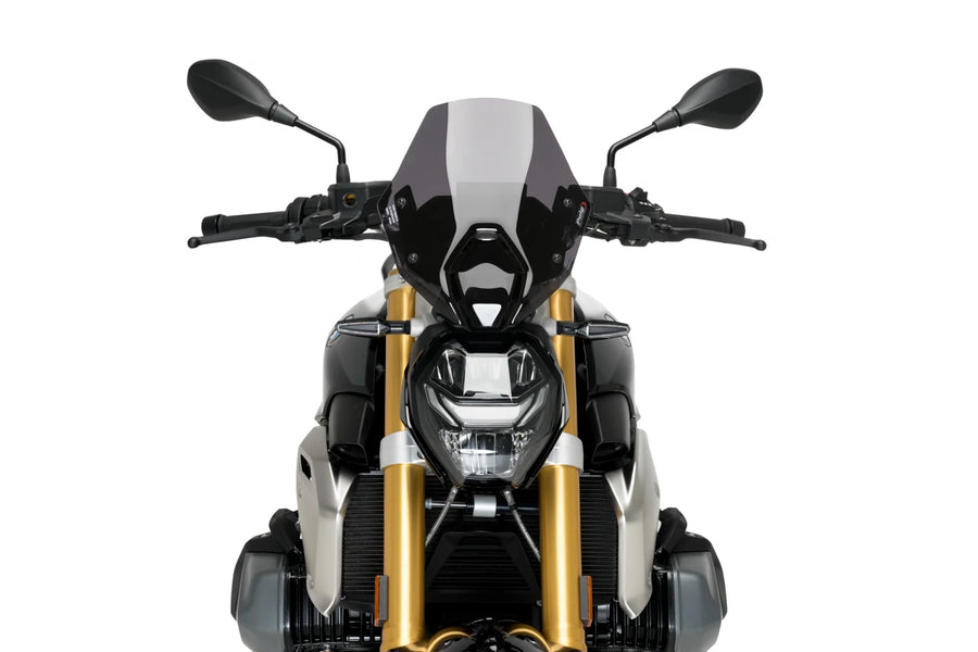 BMW R 1250 R [2025] – New Generation Sport – Transparent