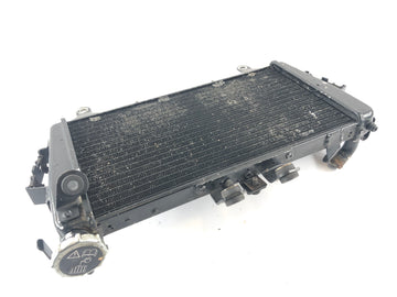 Triumph Tiger 1050 115NG [2016] - Water Cooler Radiator - 0