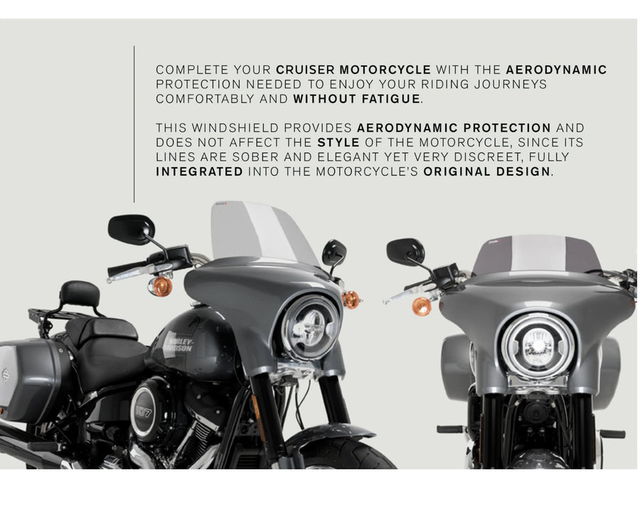 HARLEY DAVIDSON SOFTAIL LOW RIDER ST FXLRST [2025] – High-Road Touring – Tinted