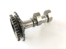 Aprilia RSV 1000 RR Factory [2009] - Camshaft exhaust camshaft cylinder rear-1