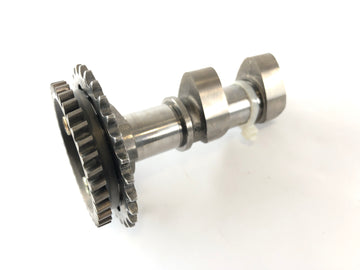 Aprilia RSV 1000 RR Factory [2009] - Camshaft exhaust camshaft cylinder rear