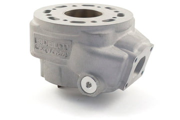 Beta RR SM 50 2T - Zylinderkit Racing RF50WR