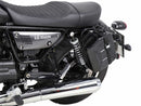Moto Guzzi V 9 Roamer [2016-2025] - Canister Cutout incl.-1