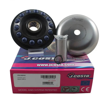 Pgo G-MAX 125 [2005, 2008] - Variator Pro – Bild 1
