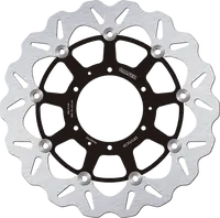 Triumph SPEED TRIPLE 900 Carburator [1994-1996] - brake discs – picture 11