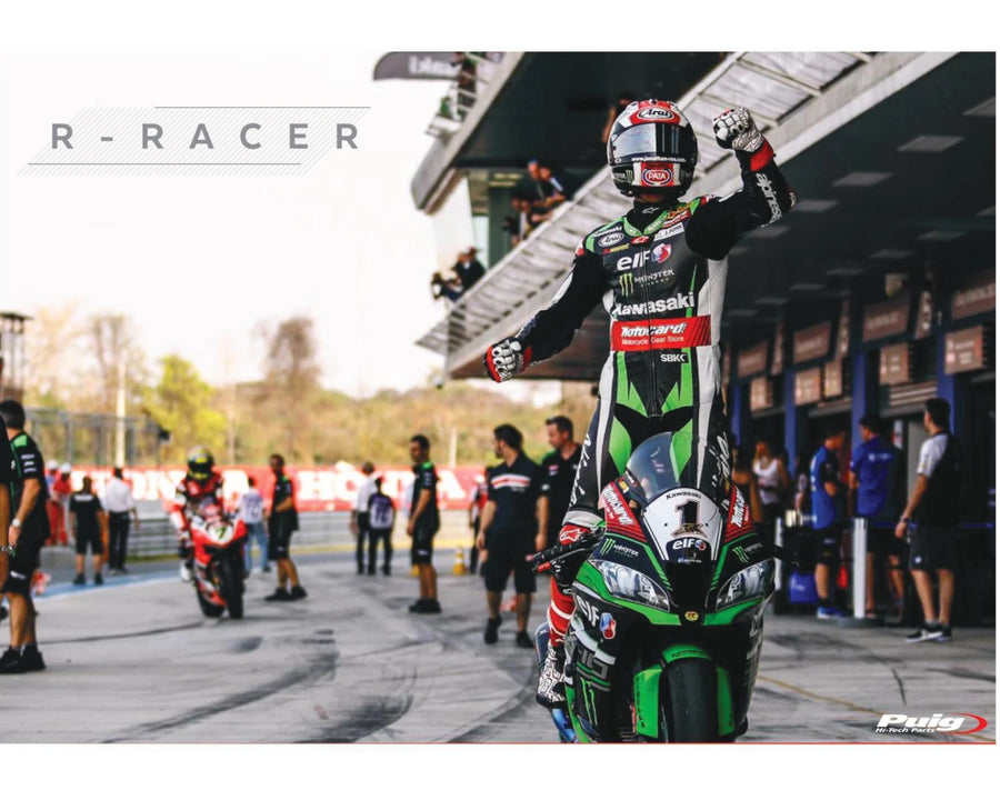 KAWASAKI ZX-10RR NINJA PERFORMANCE [2018] – R-Racer Screen – Transparent