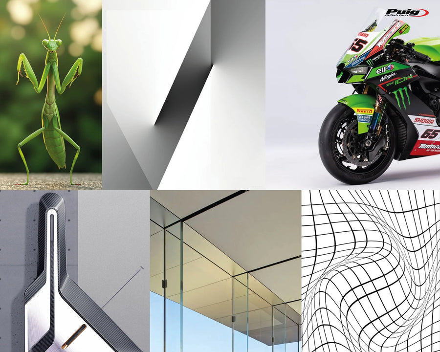 KAWASAKI Z 900 SE [2025] – New Generation Sport – Transparent