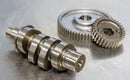 Harley-Davidson FLSB 1750 Softail Sport Glide 107 [2022] - 590G Nockenwellensatz für Zahnradantrieb – Bild 10