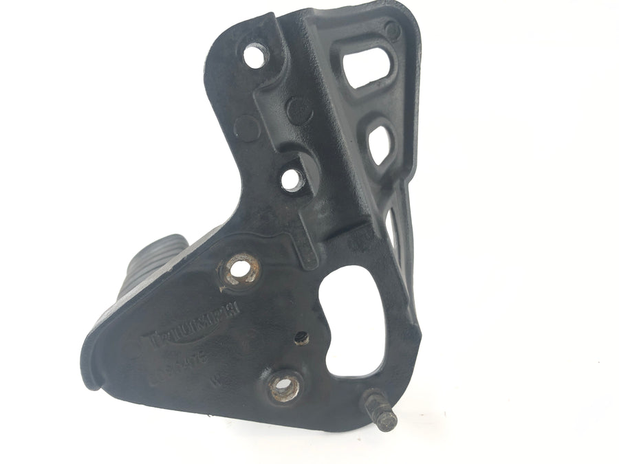 Triumph Tiger 955i 709EN [2001] - Driver footrest right Footrest front right