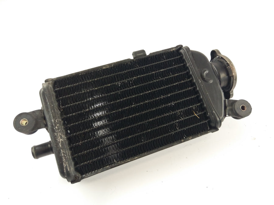 Yamaha DT 125 LC 10V [1982] - Radiator Water Cooler