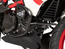BMW G 310 R [2016-2025] - Schutzbügel
