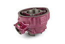 Beta RR SM 50 2T - cylinder kit Due Plus 75 cc