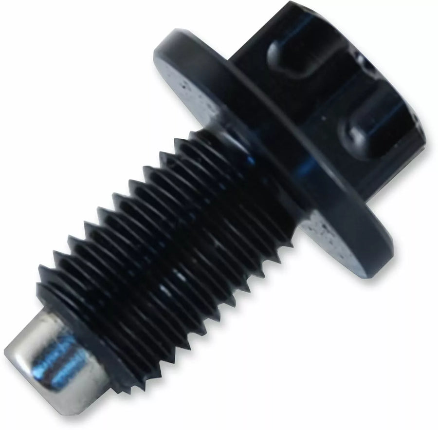 Yamaha WR 125 R [PSR] - magnetic oil drain screw
