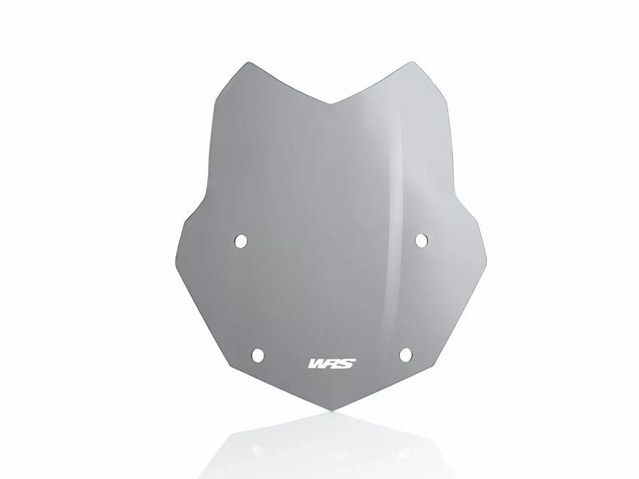 BMW R 1200 GS [WRS] - windshield