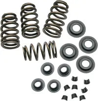 Harley-Davidson FLSTNSE 1800 Softail Deluxe CVO [2014-2015] - Endurance Beehive valve spring set for Screamin' Eagle heads - picture 5