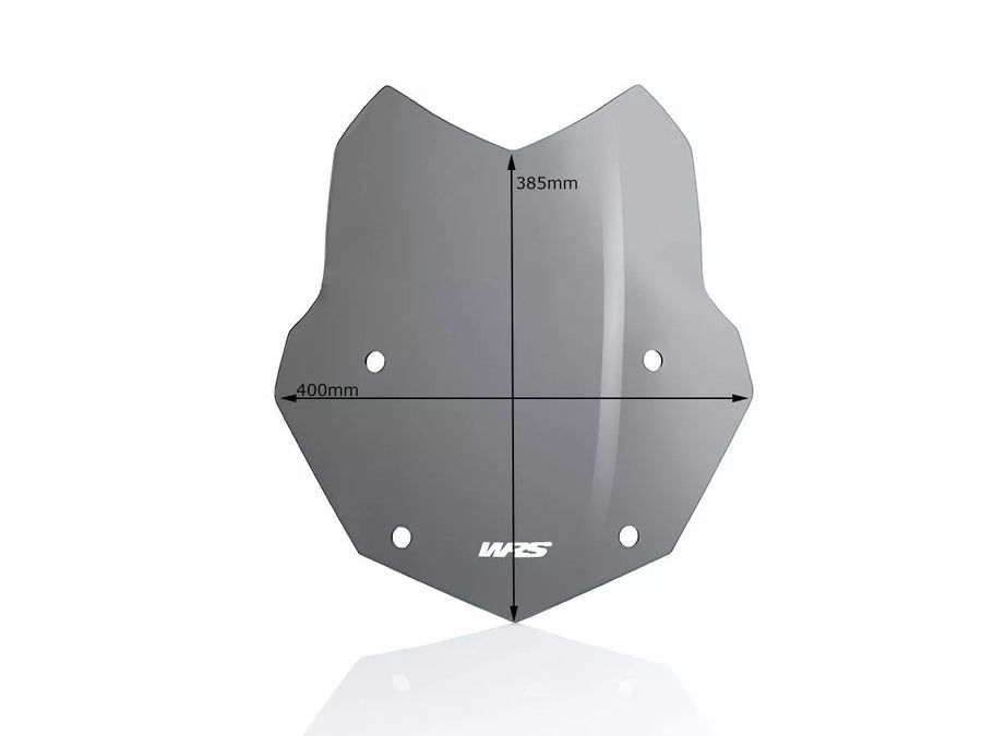 BMW R 1200 GS [WRS] - windshield