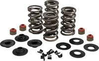 Harley-Davidson FLSTNSE 1800 Softail Deluxe CVO [2014-2015] - Endurance Beehive valve spring set for Screamin' Eagle heads - picture 10