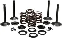 Harley Davidson Knucklehead [KIBBLEWHITE] – Motorventil-Kit
