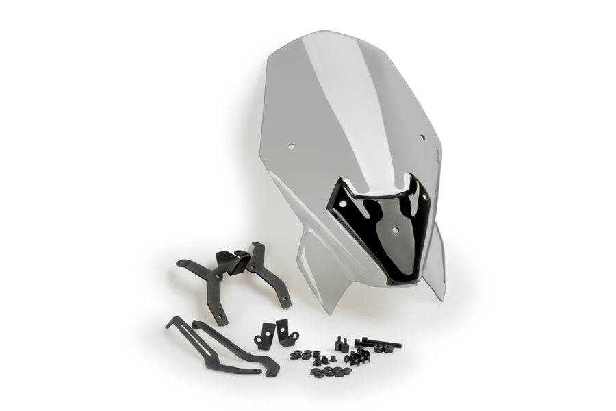 BMW F 900 R [2024] – New Generation Touring fairing window – tinted