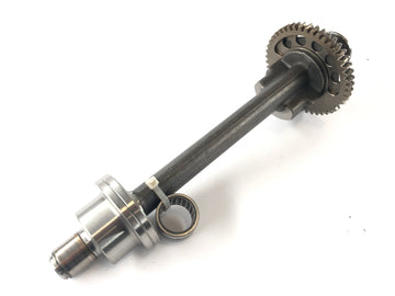 Triumph Tiger 1050 115NG [2016] - Balance shaft - 0