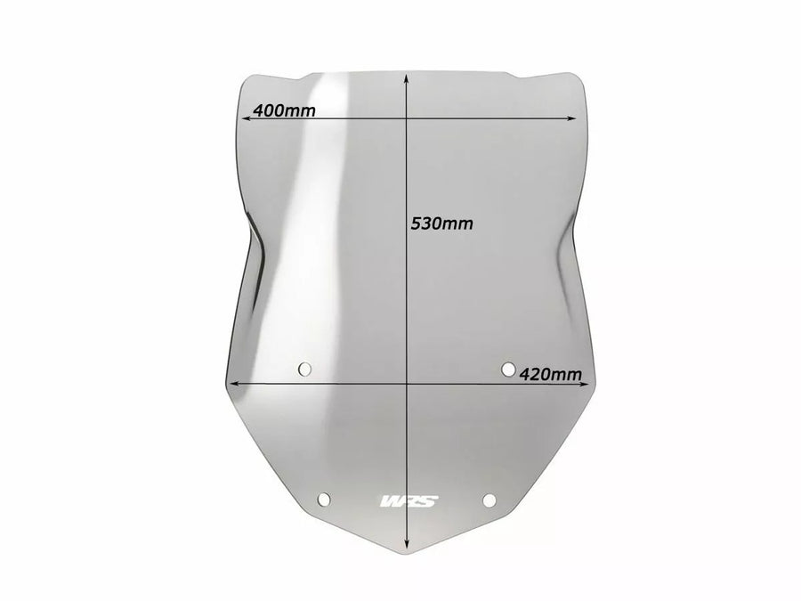 BMW R 1200 GS [WRS] - windshield