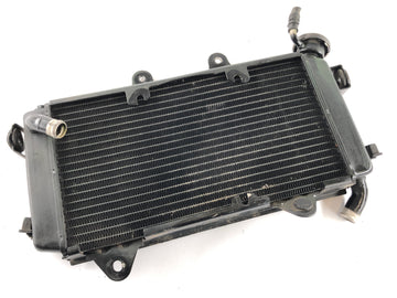 KTM Duke 390 [2014] - Water Cooler Radiator - 0