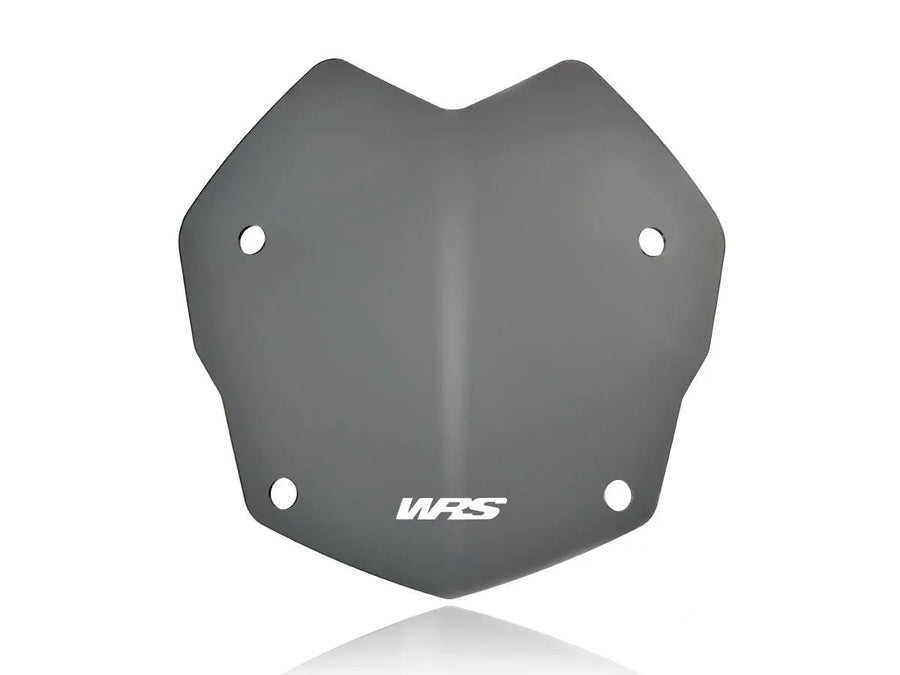 BMW R 1250 GS [WRS] – windshield detailed view