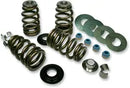 Harley-Davidson FLSTNSE 1800 Softail Deluxe CVO [2014-2015] - Endurance Beehive valve spring set for Screamin' Eagle heads - picture 4