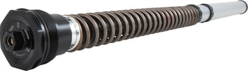 ducati scrambler 1100 [OHLINS] – FKS cartridge kit