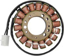 Triumph Sprint [RICK'S MOTORSPORT ELECTRIC] – Stator für Triumph
