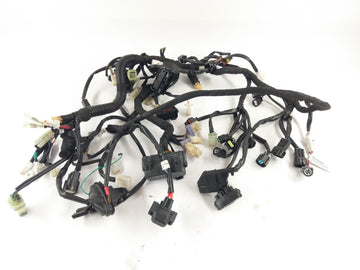 Husqvarna 701 Vitpilen [2018] - Wiring harness - 0
