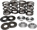 BMW R 60/5 [KIBBLEWHITE] – Ventilfeder-Kit