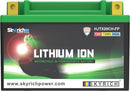 Harley Davidson Fx Model [SKYRICH] - Lithium-Ion Battery - LTX20CH-3